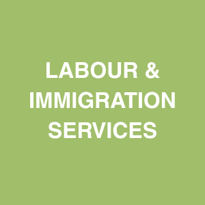 PRO SERVICES (4) PRO SERVICES (4)