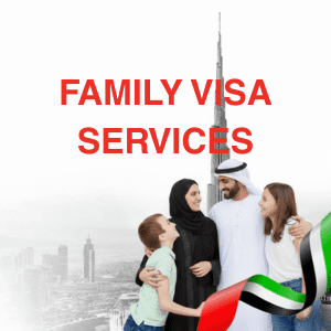 PRO SERVICES (8) PRO SERVICES (8)